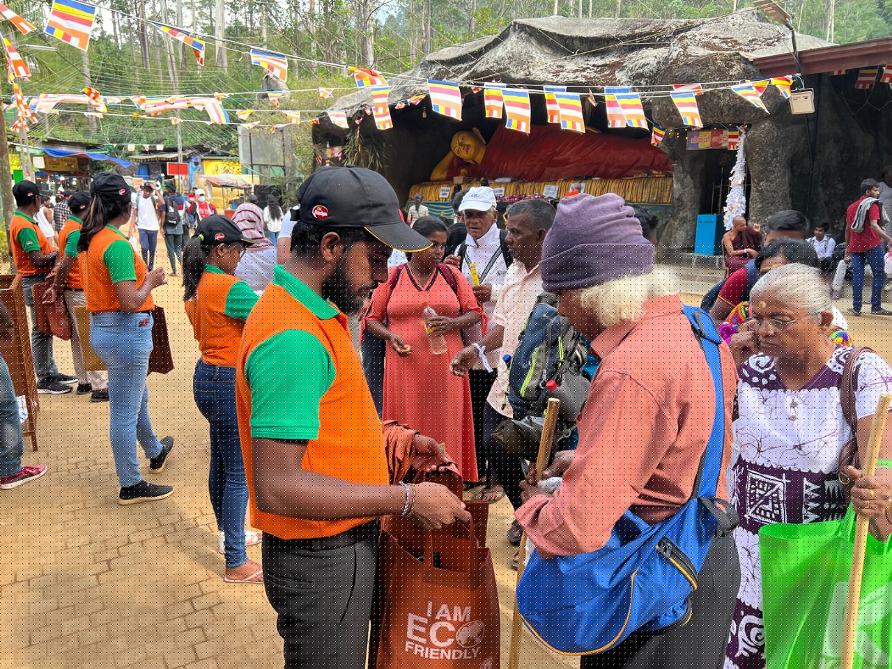 Ginger Sri Pada - Image 10